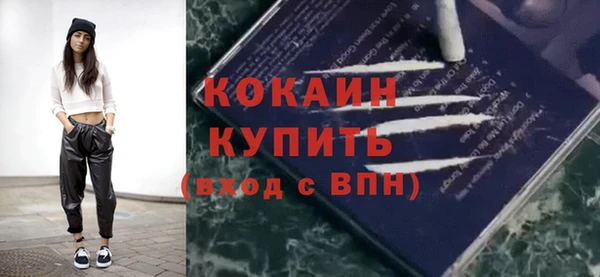 кокс Богородицк