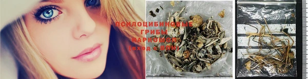 кокс Богородицк