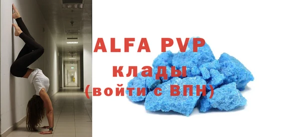 прущие грибы Бугульма