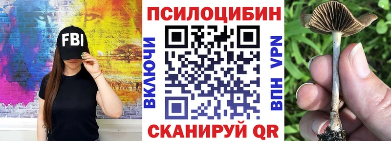 Псилоцибиновые грибы Cubensis  ОМГ ОМГ как войти  Краснокамск  купить наркотик 
